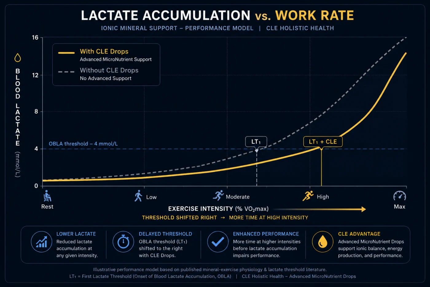Lactate accumulation versus work rate — CLE Drops ionic mineral support performance model