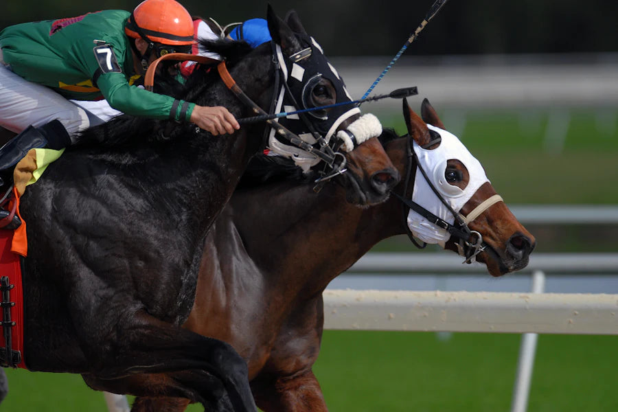 Horse Racing athlete